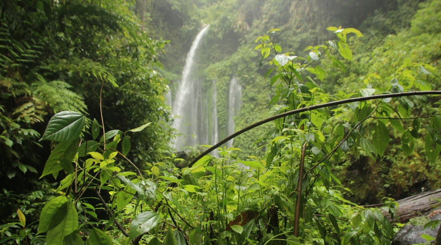 Tokenização e blockchain